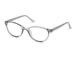 Seen SNEF09 -Spectra Style Oasis fit 1399