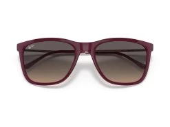 Ray-Ban RB4344