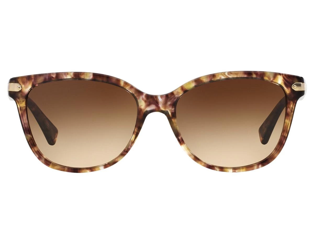 Coach HC8132 L109 3 Coach HC8132 L109