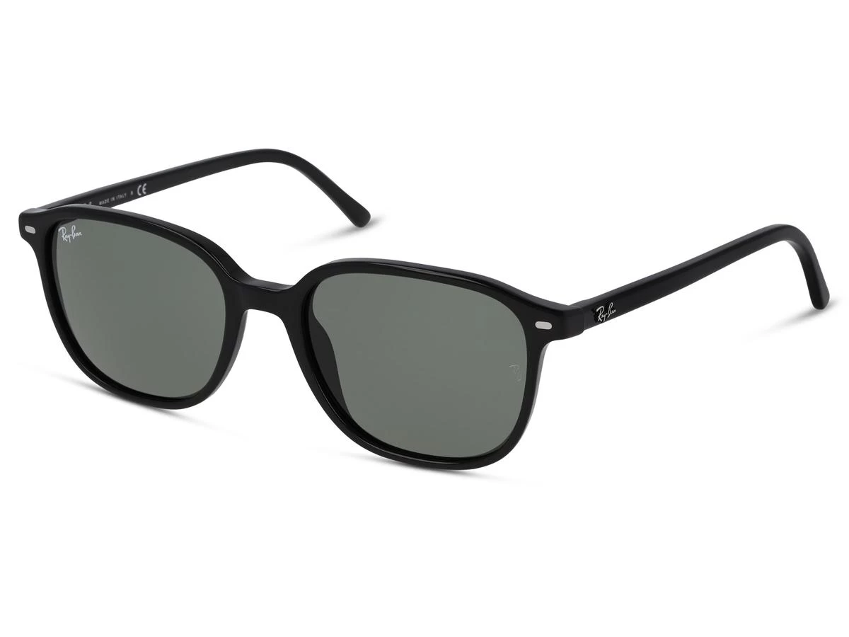 Ray-Ban RB2193 LEONARD 4 Ray-Ban RB2193 LEONARD - Image 2