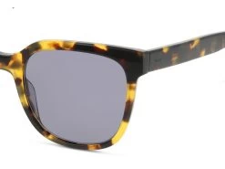 DbyD DBSF5009 -Spectra Style Oasis fit 545