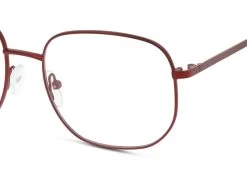 Seen SNOF5006 -Spectra Style Oasis fit 575