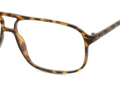 Seen SNOM5001 -Spectra Style Oasis fit 968